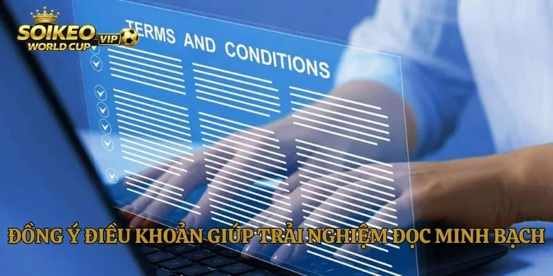 Đồng ý điều khoản giúp trải nghiệm đọc minh bạch