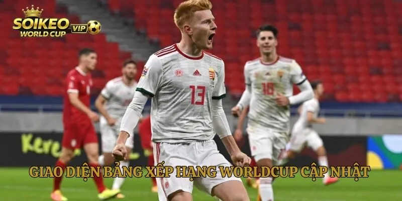 Giao diện bảng xếp hạng World Cup cập nhật realtime