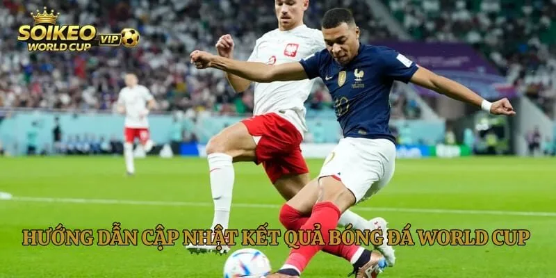 Hướng dẫn cập nhật kết quả bóng đá World Cup 2026 nhanh và chính xác