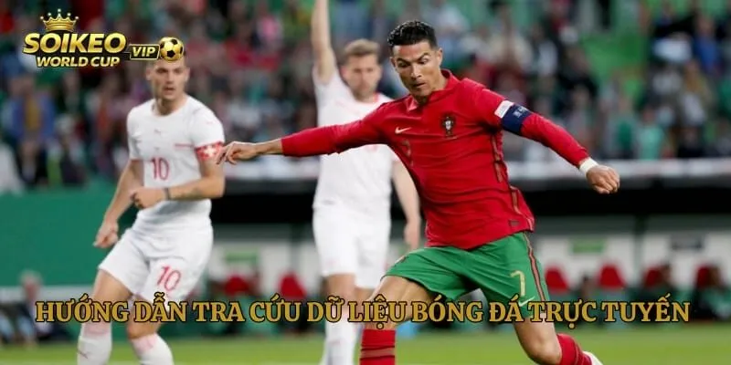 Hướng dẫn tra cứu dữ liệu bóng đá trực tuyến chính xác