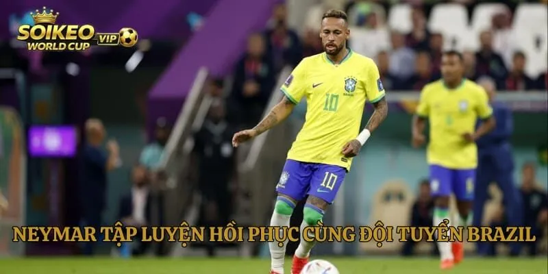 Neymar tập luyện hồi phục cùng đội tuyển Brazil