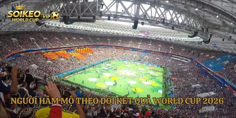 Người hâm mộ theo dõi kết quả World Cup 2026 trực tiếp