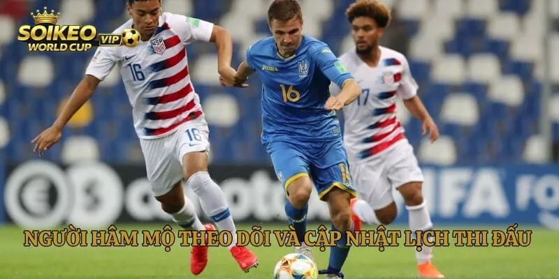 Người hâm mộ theo dõi và cập nhật lịch thi đấu World Cup nhanh chóng