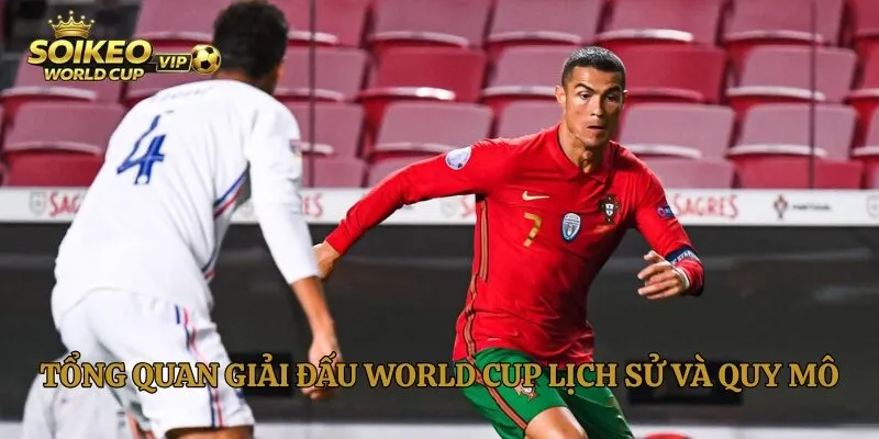 Tổng quan giải đấu World Cup lịch sử và quy mô