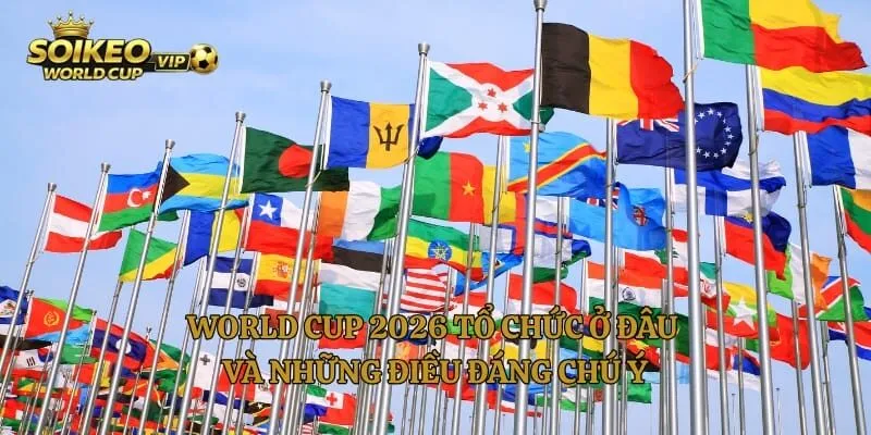 World Cup 2026 Tổ Chức Ở Đâu Và Những Điều Đáng Chú Ý